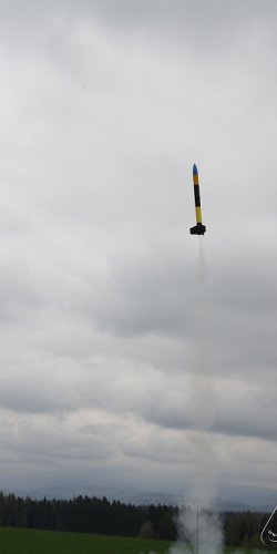 2013 Svojek Mirek Topinka